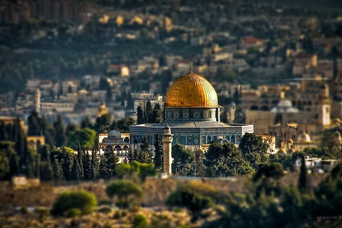 القدس، فلسطين