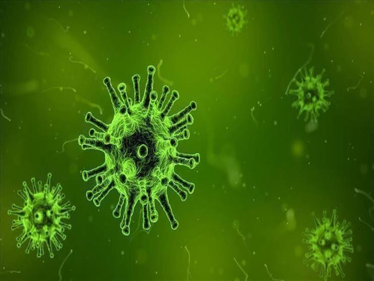 4 مراحل لتطور فيروس كورونا.. أيهم أخطر؟