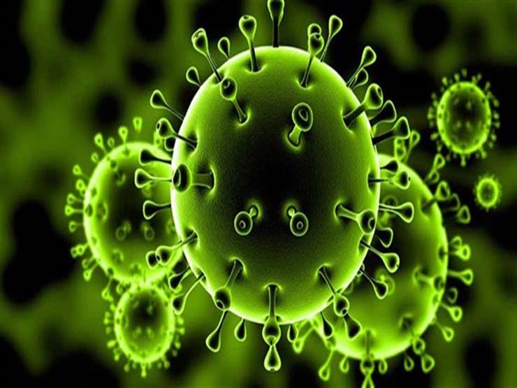 فيروس كورونا.. الوفيات تقترب من الـ25 ألف وأكثر من نصف مليون إصابة