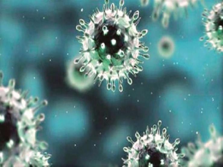 3 أنواع لفيروس كورونا في العالم.. أيهم أخطر؟