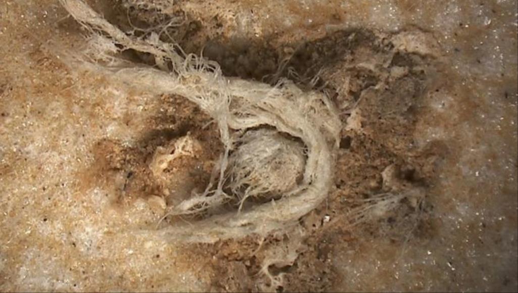 صورة بالمجهر الإلكتروني لقطعة الحبل التي عثر عليها في مغارة ماراس (يوريك ألرت)