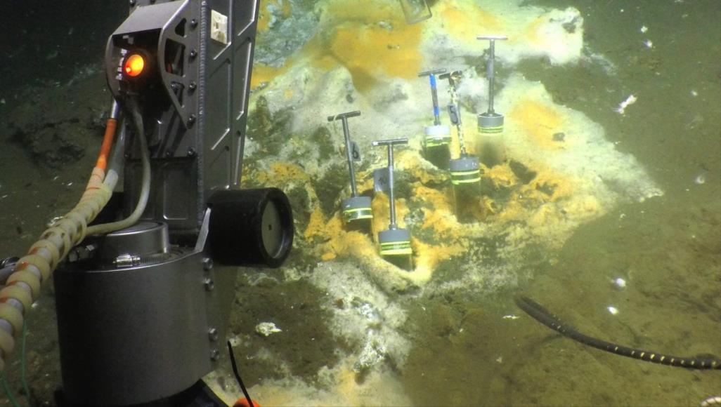 استخرج الباحثون البكتيريا المكتشفة من عمق ألفي متر تحت سطح البحر (معهد ماكس بلانك)