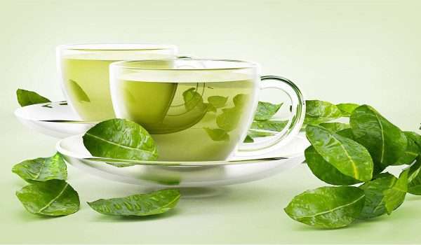 الشاي الاخضر للتنحيف أو فوائد الشاي الأخضر للرجيم