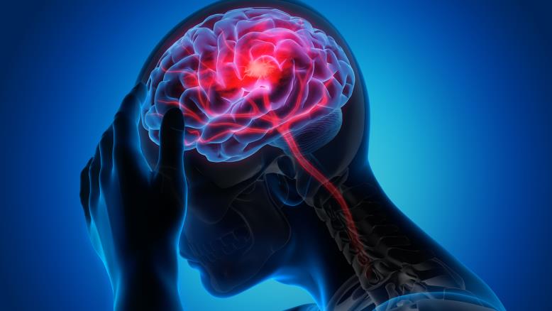  حواس الإنسان الخمس تلعب دورًا رئيسيًا في تعديل الذاكرة، حيث يمكن أن تتحول رائحة  إلى عوامل تؤثر على هذه الذاكرة (غيتي)