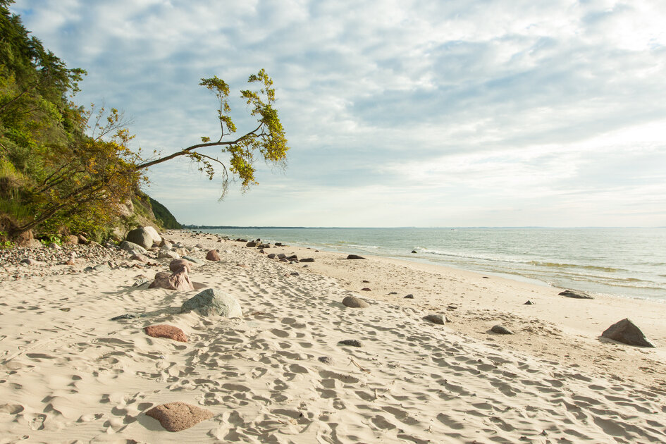 شواطيء ساحل بحر البلطيق
