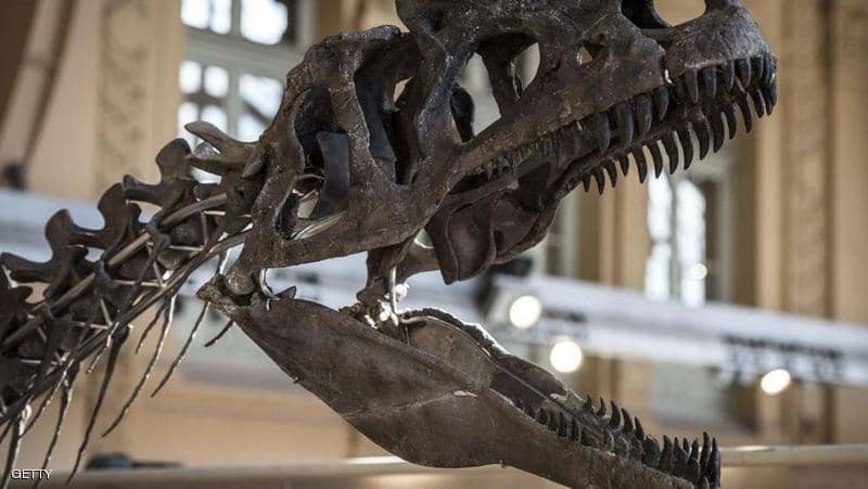 الديناصور قد يصل سعره إلى 1.8 مليون يورو