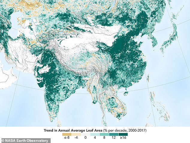 China and India have planted so many trees that the world is now greener than it was 20 years ago. NASA research discovered there is five per cent, on average, more greenery every year compared to the 2000s (pictured)