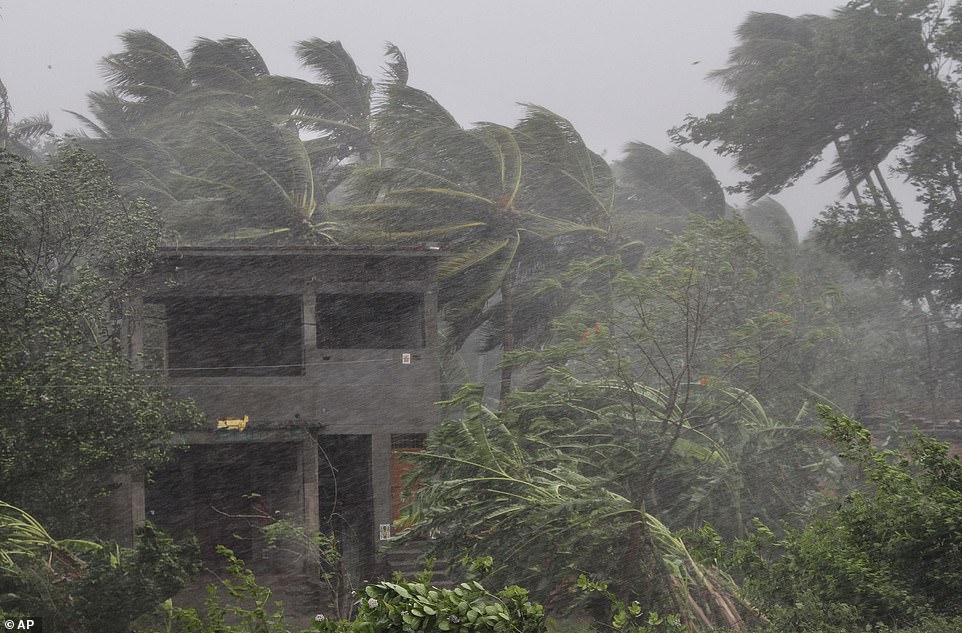An abandoned house and trees bend with gusty winds ahead of the landfall of cyclone Fani on the outskirts of Puri, in the Indian state of Odisha, Friday. Indian authorities evacuated hundreds of thousands of people along the country's eastern coast ahead of a cyclone moving through the Bay of Bengal