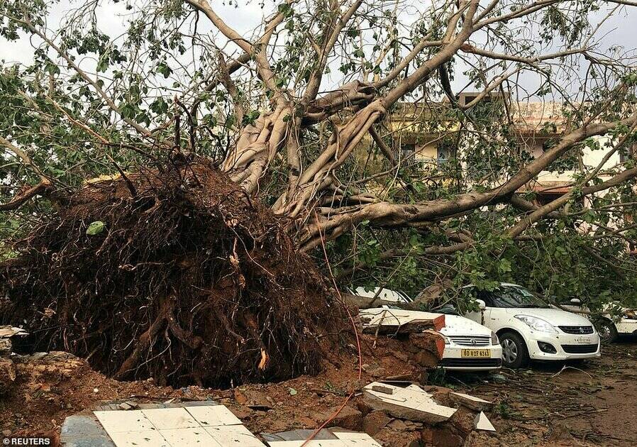 Cars are damaged by an uprooted tree in a residential area following Cyclone Fani in Bhubaneswar, capital of the eastern state of Odisha, India