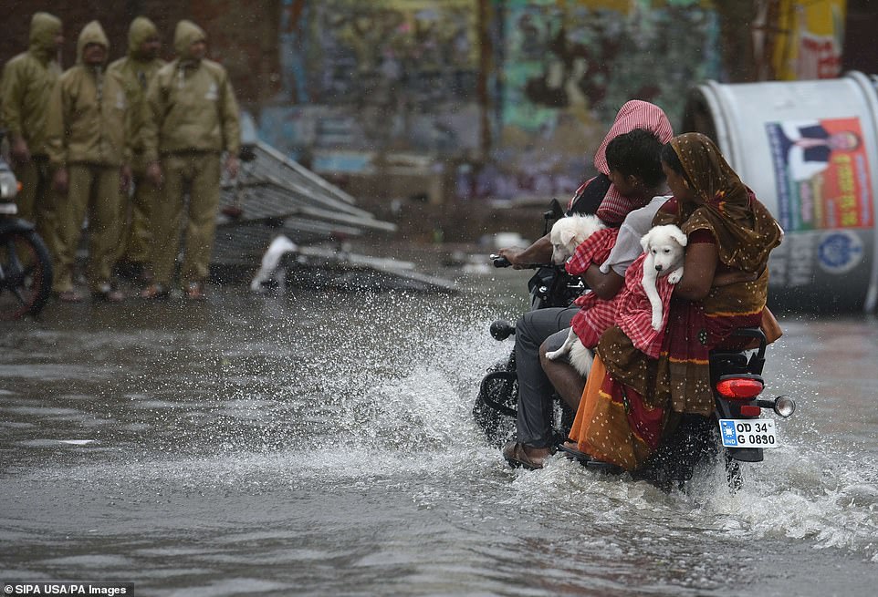 A family carry their pets to safety on a moped after the onset of cyclone Fani on May 3, 2019 in Puri, India