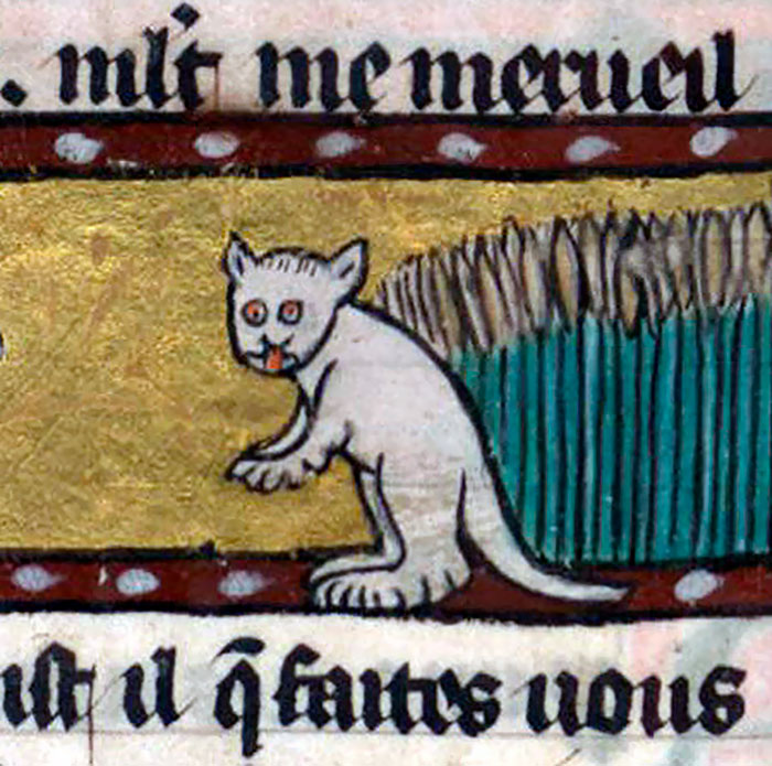 القطط في لوحات العصور الوسطى