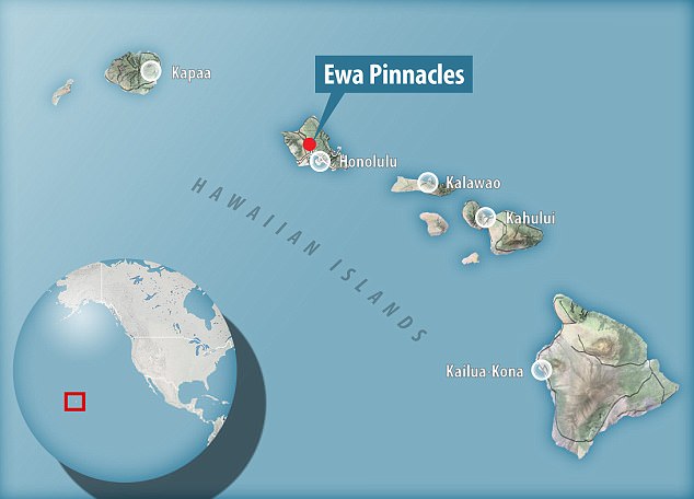 The footage was taken off the south west coast of the Hawaiian island of O'ahu at the Ewa Pinnacles