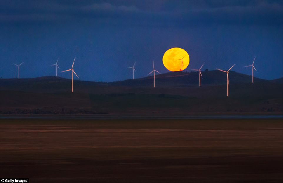 Pictured is a super moon rising over lake george near Canberra. Experts say the best viewing in the US will be from the west. In the UK, the moonrise will occur sometime around 4.55pm GMT. But the the lunar eclipse – will not begin until halfway through the night when the moon passed though the Earth's shadow