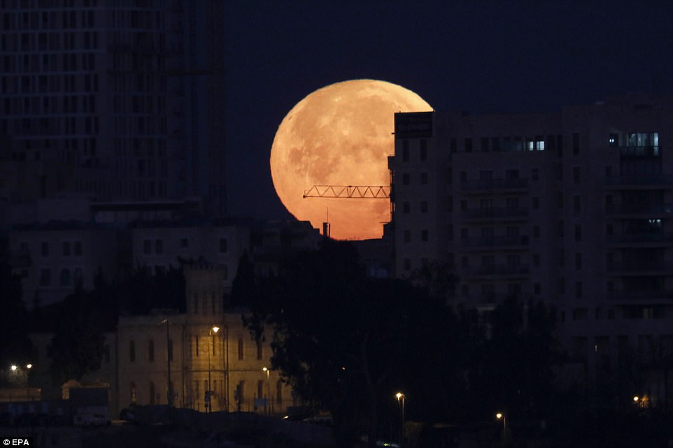 Pictured is a large orange moon rising above the old city of Jerusalem this morning. The rare celestial, which hasn't been seen by much of the world in more than 150 years, will first appear in Australia