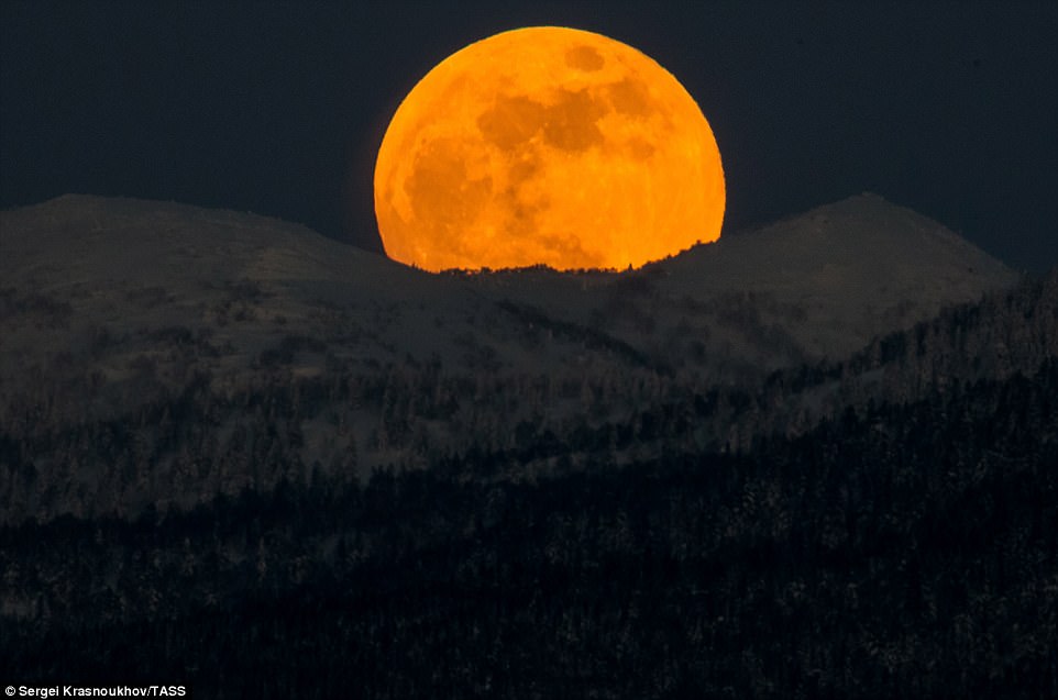 A 'super blue blood moon' is the result of a blue moon – the second full moon in a calendar month – occurring at the same time as a super moon, when the moon is at perigee and about 14 per cent brighter than usual. Pictured is a large, super moon rising over the hills near the city of Yuzhno-Sakhalinsk on Sakhalin Island in Russia this morning