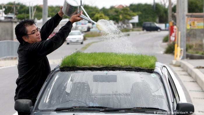 Grünes Auto - Japaner erspart sich Klimaanlage durch Grasdach (picture-alliance/dpa/H. Maeshiro)