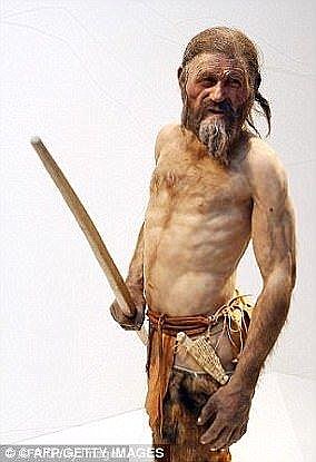 Since his discovery on 19 December 1991 by German hikers, Ötzi (artist's impression) has provided window into early human history.
