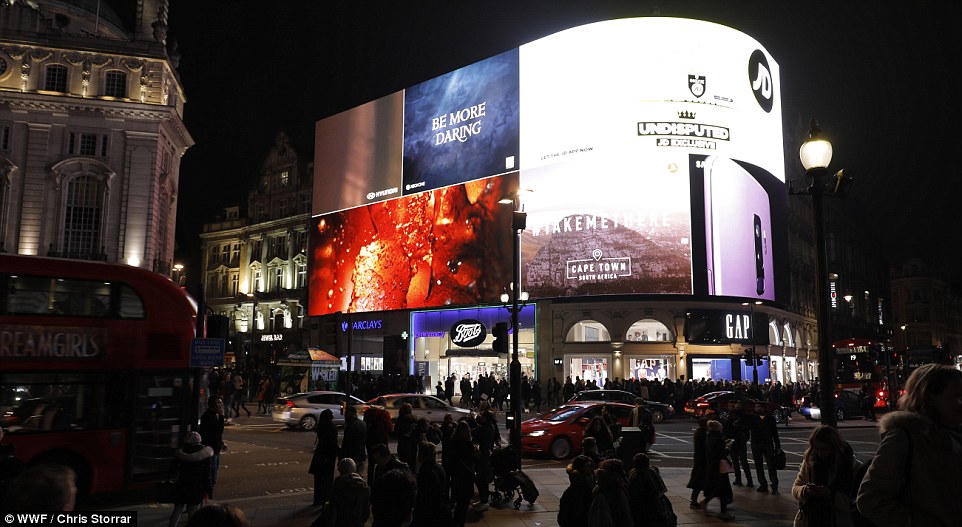 Piccadilly Circus: Lights on
