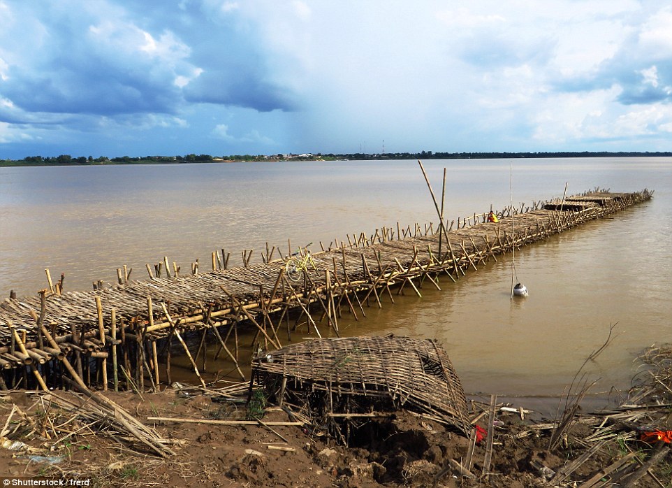 The first part of a narrower bamboo bridge being constructed in Cambodia that will only take pedestrians and cyclists 