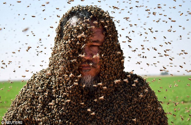 Saudi man Zuhair Fatani, with his body covered with bees, poses for a picture in Tabuk, Saudi Arabia on September 11, 2018