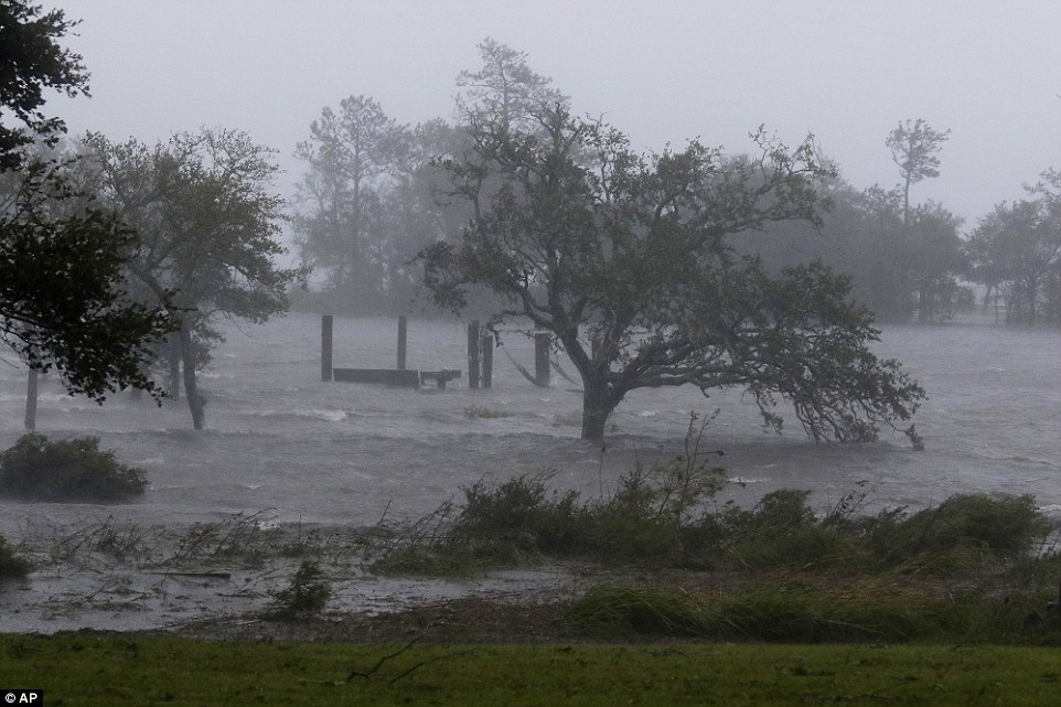 Trees bend in the heavy winds and surging waters as Hurricane Florence hits Swansboro in North Carolina on Friday 