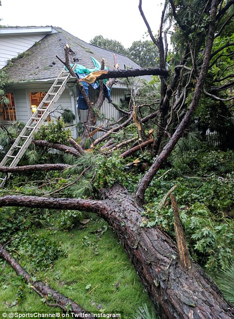 Residents in this North Carolina town woke up on Friday morning to find a tree had fallen on the roof of a house. The storm is expected to cause $170 billion worth of damage, according to one prediction