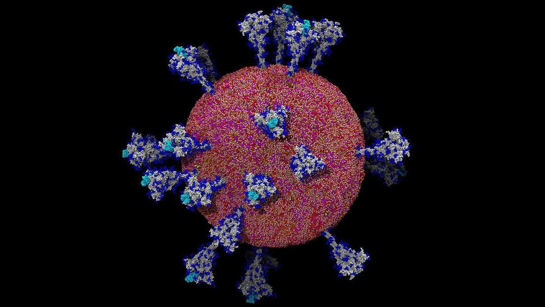لأول مرة.. صور مُفصلة لبنية فيروس كورونا تُظهر كيفية مهاجمته للجسم