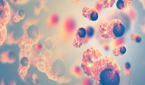 هل يستطيع الكيتو دايت إبطاء نمو الخلايا السرطانية؟