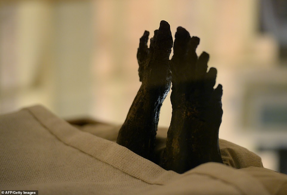 A picture taken today shows the feet of the linen-wrapped mummy of Pharaoh Tutankhamun, part of a series of incredible photos released of the ancient King