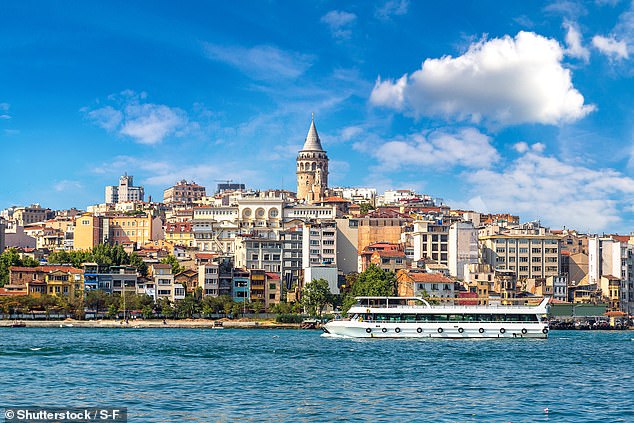 A magnitude 5.8 earthquake which struck near Istanbul in Turkey (pictured) in the summer of 2016 lasted for fifty days, according to a new study. The tectonic phenomena, known as a 'slow earthquake', or a slow slip event occurred a few kilometres south of Istanbul, but nobody knew it was happening (stock image)