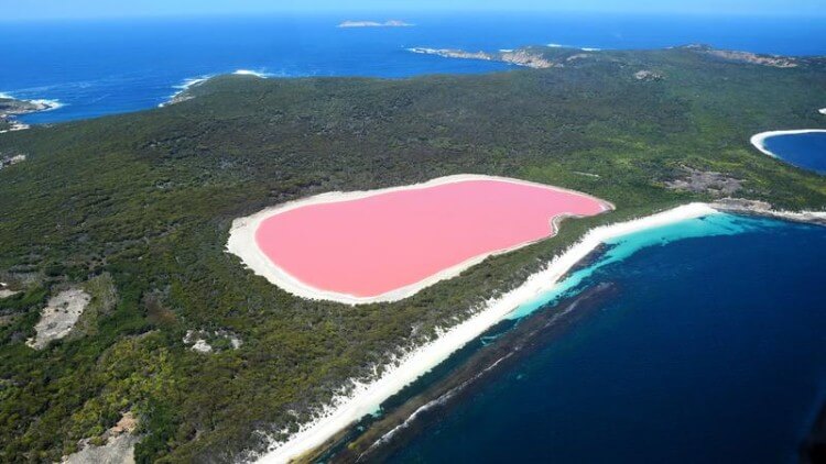 البحيرات الوردية
