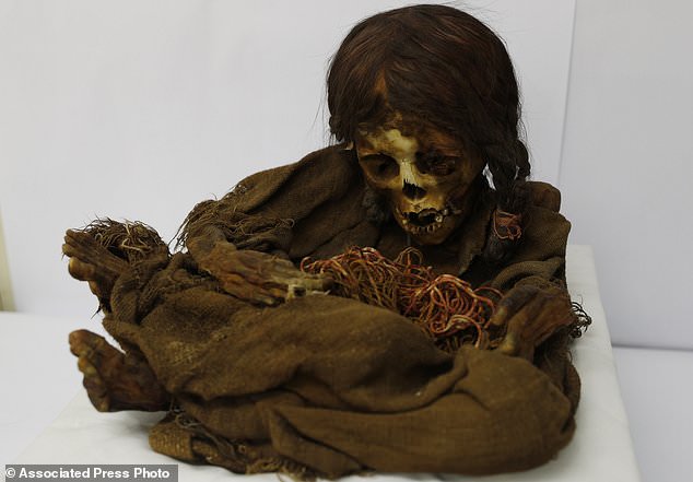 Nicknamed Nusta, a Quechua word for 'Princess,' the mummy recently returned to its native Bolivia 129 years after it was donated to the Michigan State University museum in 1890