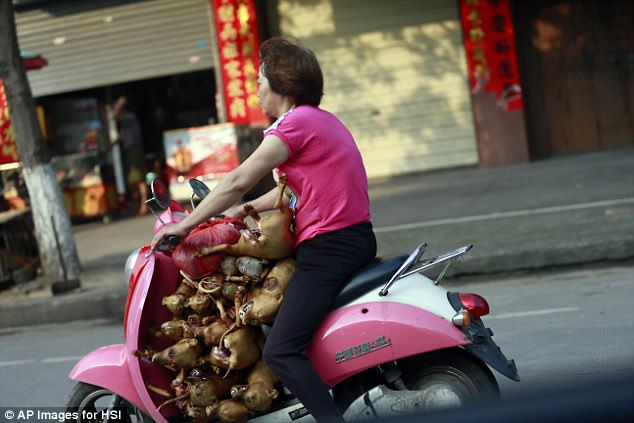 One horrifying image shows a woman on a moped transporting 10 slaughtered dogs to the market to sell them
