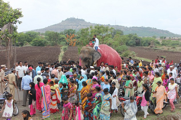 1. Freedom beckons after decades of suffering but Gajraj is surrounded by locals who don't want the iconic temple elephant to leave, fearing loss of income and status 