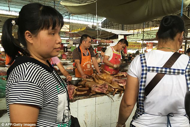 Some claimed that the consumption of dog meat has been observed in Guangxi Province, China, for hundreds of years, but the activity became more popular in the recent decades