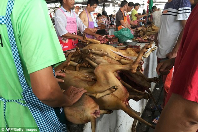 In May, the Yulin government was said to have informed the local vendors to stop selling dog meat in the lead-up to the summer solstice, which falls on June 21 this year