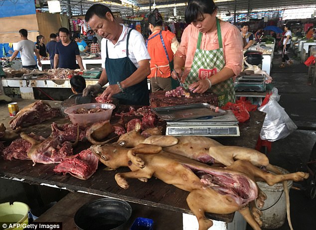 An insider told MailOnline that all restaurants are packed today and dog markets are busy