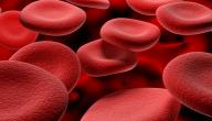 طرق علاج فقر الدم