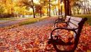 كيف يؤثر الخريف على الصحة