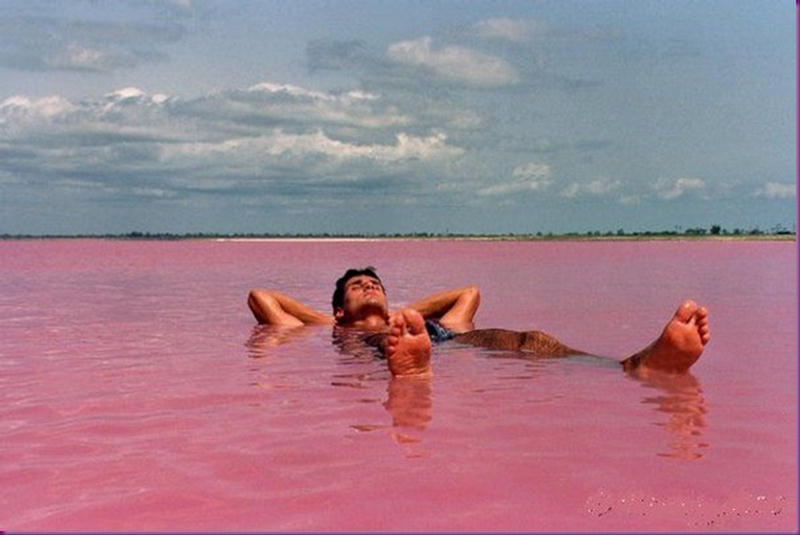 Amazing The Pink Water Lake