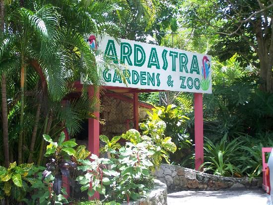 حديقة Ardastra Gardens and Zoo