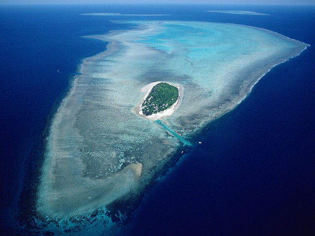 barrier reef in an oval shape