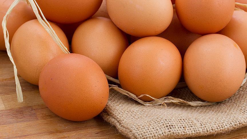 أكل 41 بيضة.. هندي يفقد حياته في رهان مع غريمه