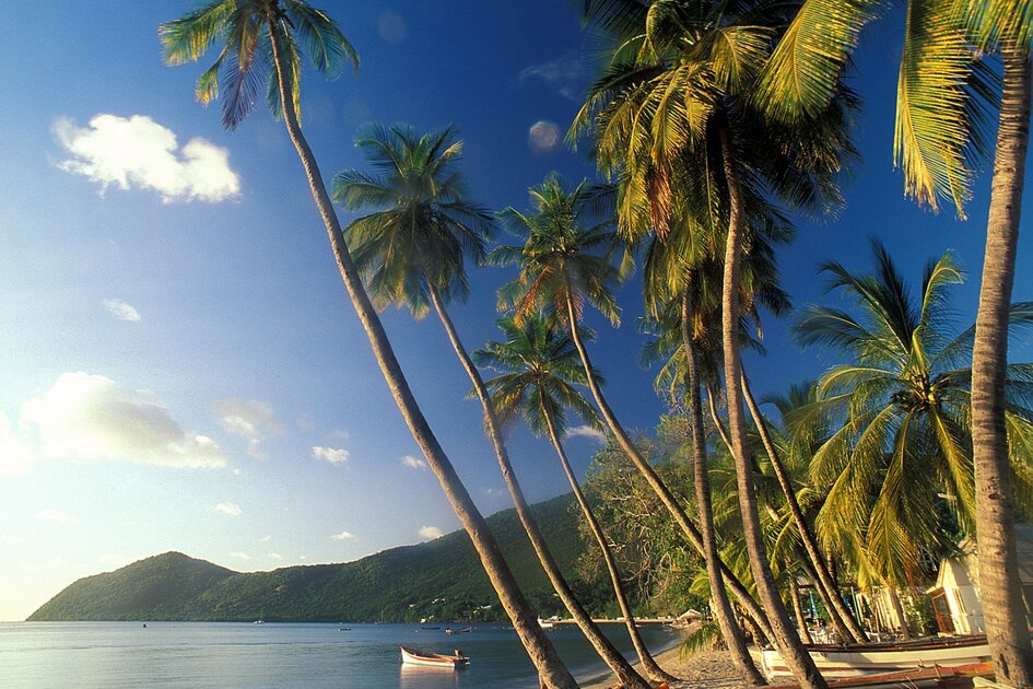 Beautiful Island Of Martinique