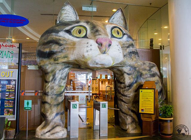 متحف القطط