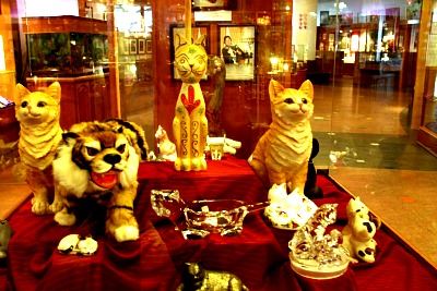 متحف القطط