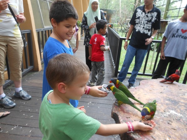 استمتاع الاطفال في حديقة الطيور، كوالا لمبور