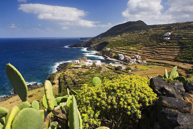 Enjoy your holiday in Pantelleria