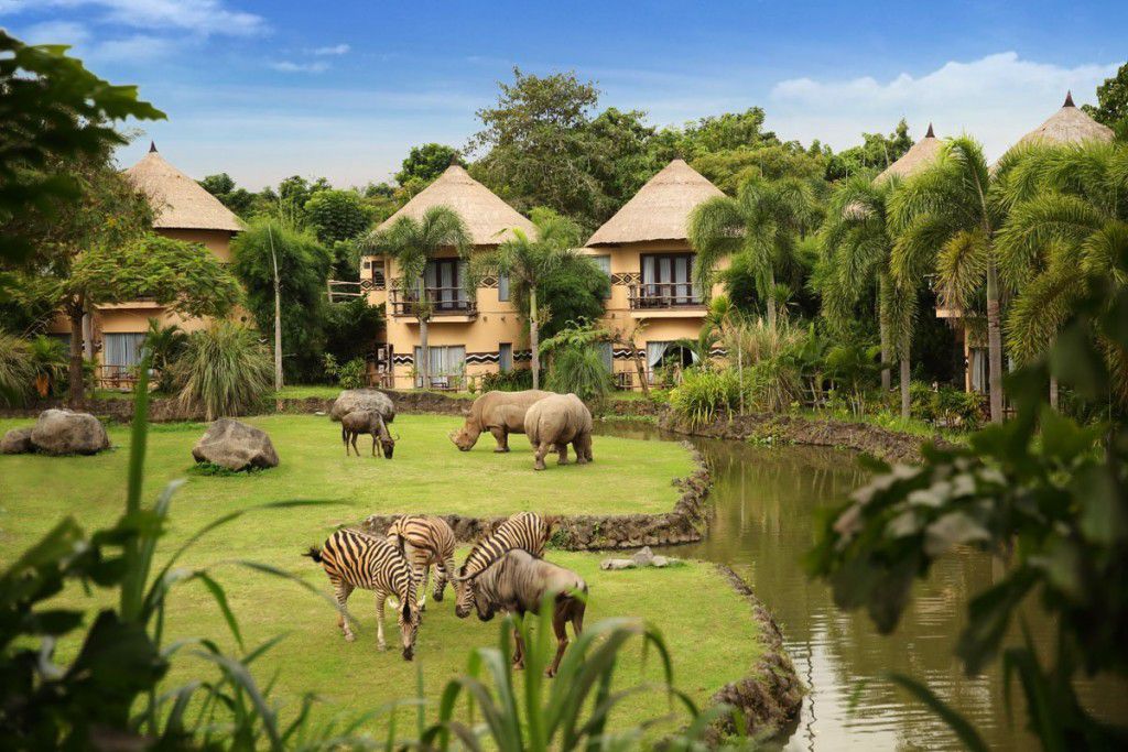 Get One Step Closer to the Wildlife without Leaving Luxury Behind