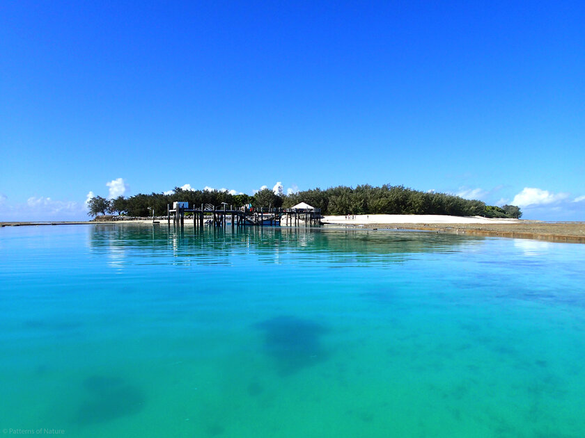 Heron Island offers a wide range of accommodation options